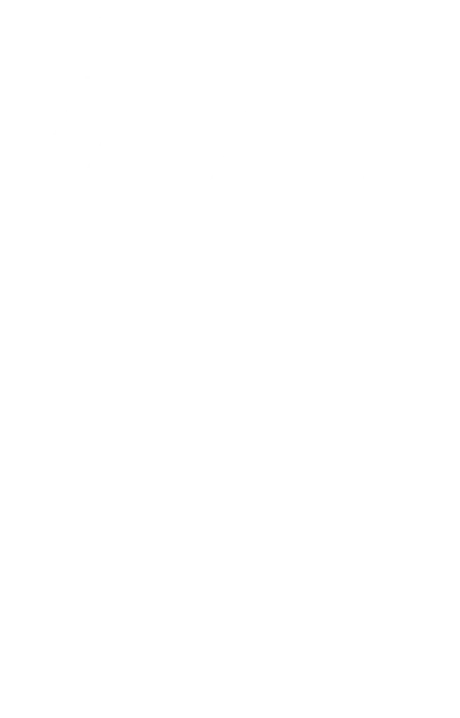 Nebul4